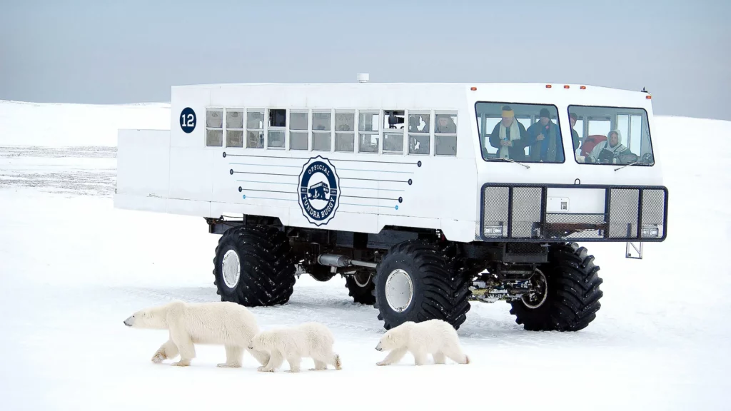 Tundra Buggy Lodge